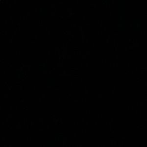 Meet your Posher, Claudia